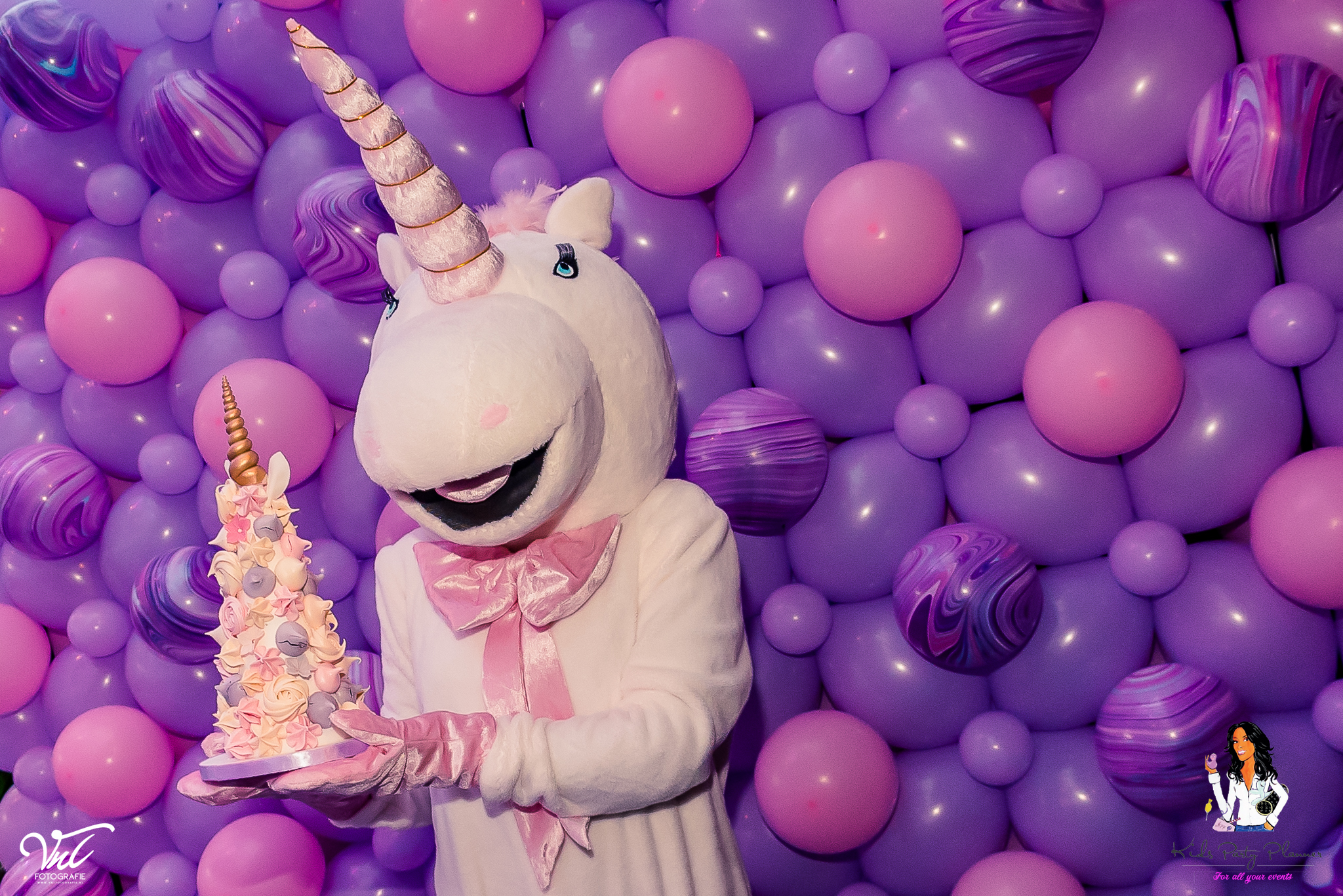 Dubbele Unicorn Doopfeest